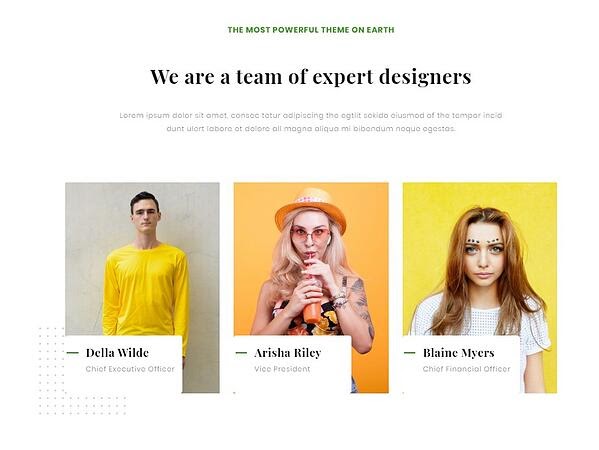 28 Best About Us & About Me Page Examples (+10 Templates) - Dolquine